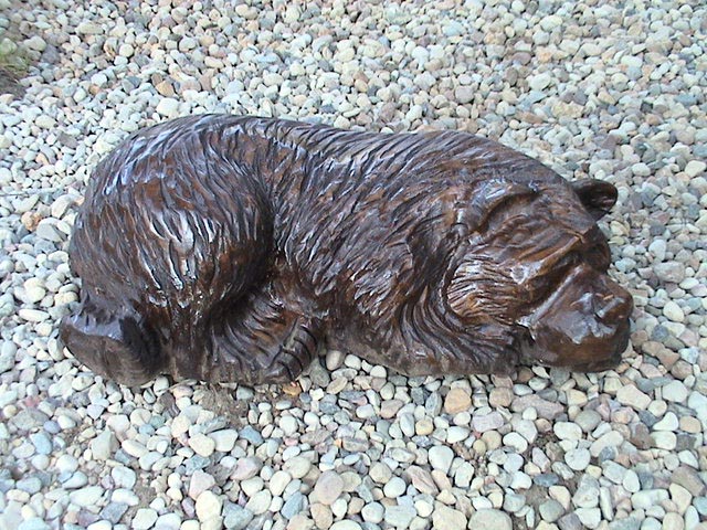 Bear Sleeping